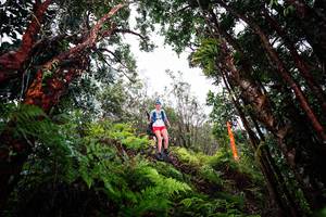 BIB: 
                            <button type="button" onclick="openModal(26202380)" class="btn btn-primary btn-sm float-right btn-popup" data-toggle="modal" data-target=".modal-high-quality">
                        <i class="fas fa-shopping-cart"></i> Add to Cart
                    </button>
                                            <button type="button" onclick="isThisMe(26202380, true)" class="btn btn-success btn-sm float-right btn-popup btn-isme hidden" data-toggle="tooltip" data-placement="bottom" title="นี่คือรูปของคุณใช่ไหม คลิกที่นี่เพื่อเอาเข้าอัลบั้ม">
                        <i class="fas fa-plus"></i> Add to album
                    </button>
                    <button type="button" onclick="isThisMe(26202380, false)" class="btn btn-warning btn-sm float-right btn-popup btn-isnotme hidden">
                        <i class="fas fa-ban"></i> Remove from album
                    </button>